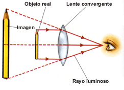 Resultado de imagen de lente convergente lupa