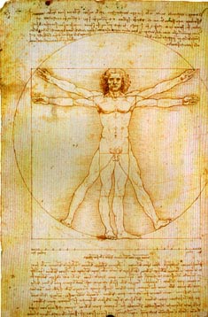 En el canon de Leonardo da Vinci  se representan las proporciones ideales del cuerpo humano.