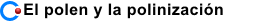 El polen y la polinización